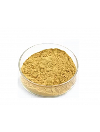 Milk Thistle Extract 250 gr (Hammadde) + İlaç Kutusu Hediyeli